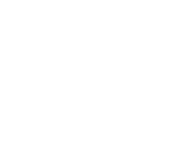 Arrowhead Transfer Icon